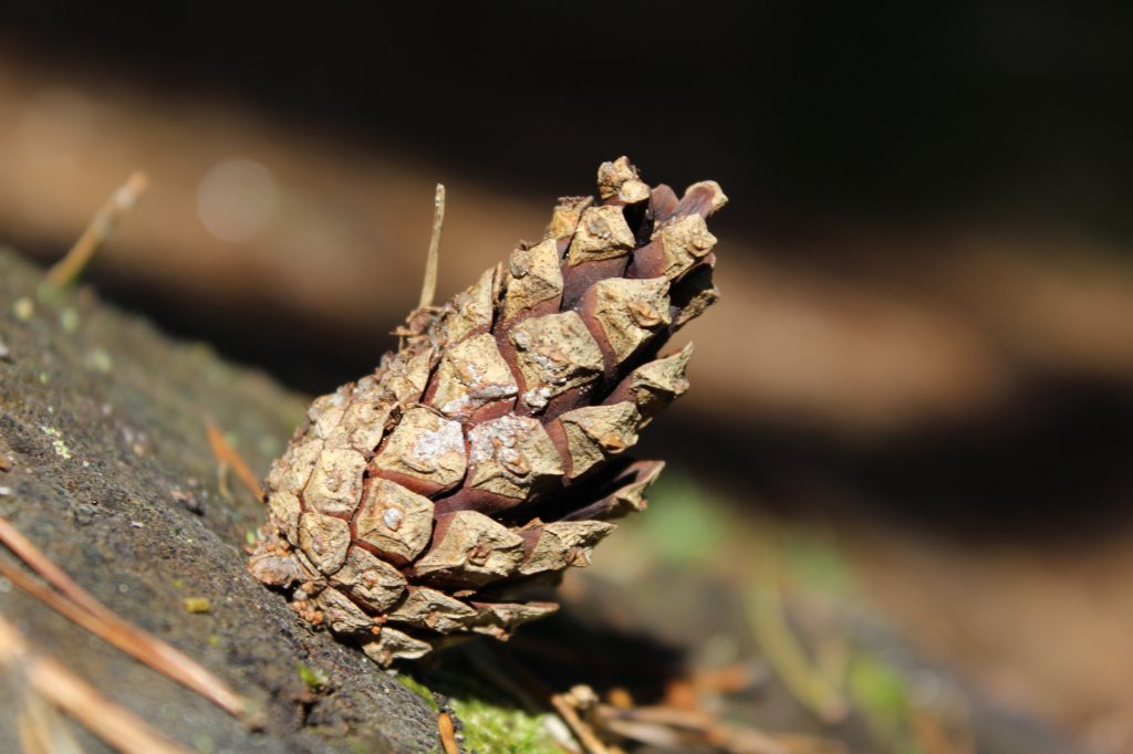 czwartek.