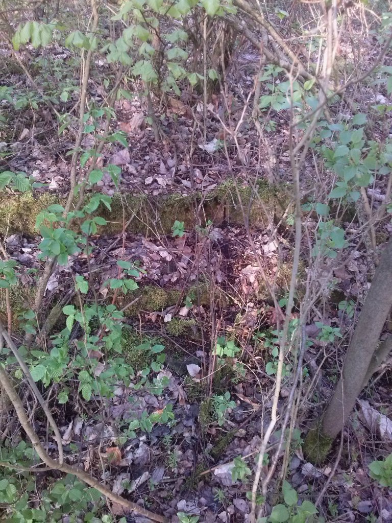 Ruiny poczty polskiej.