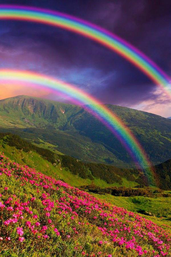 Cud natura