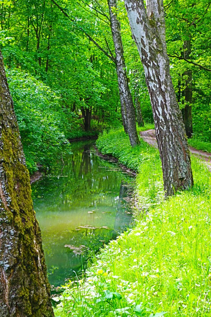 Park Miejski w Pasku