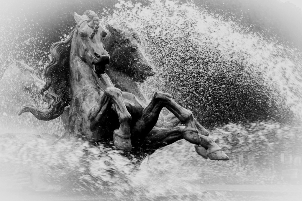 Galop....