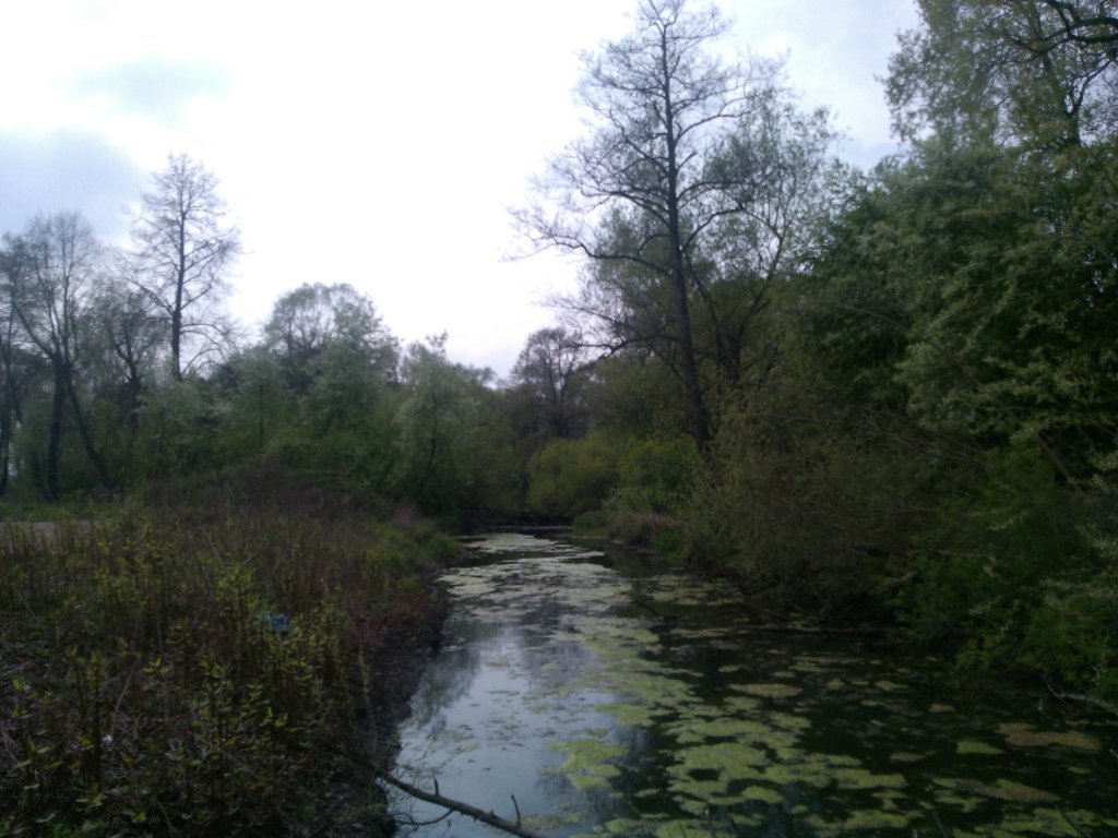 20.04.2014