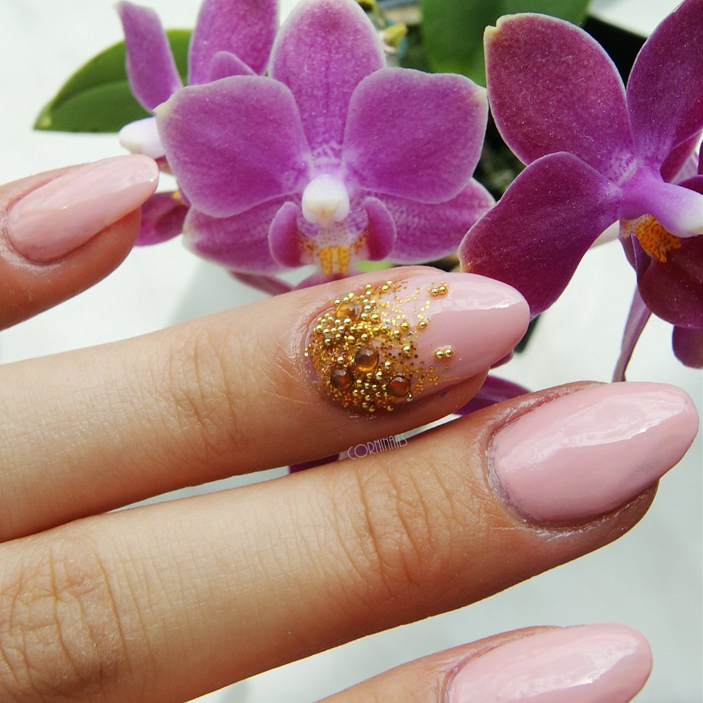  corninails