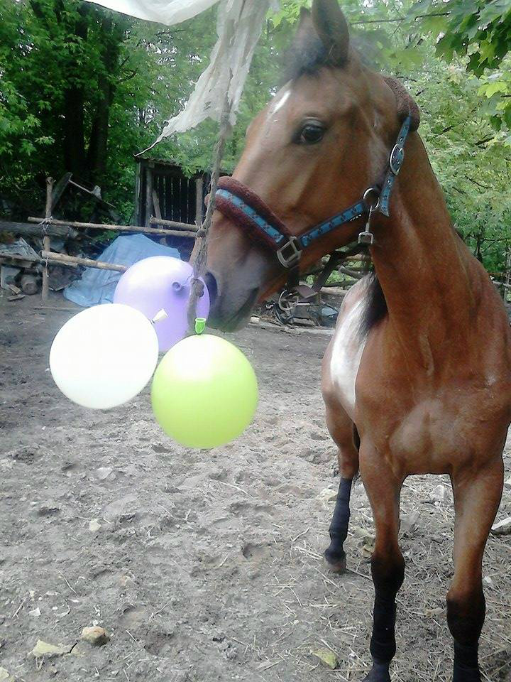 Ale czo to?