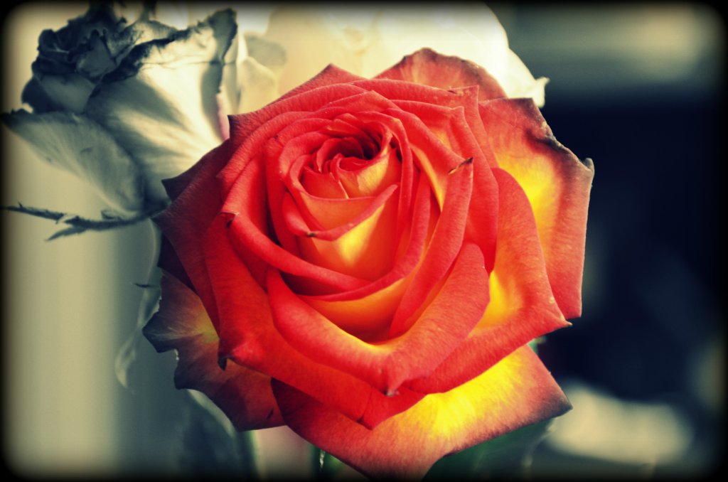 Ra od ukochanego :* :)