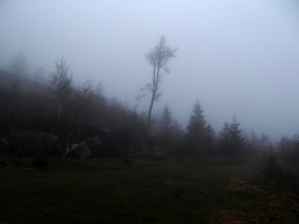 Mist