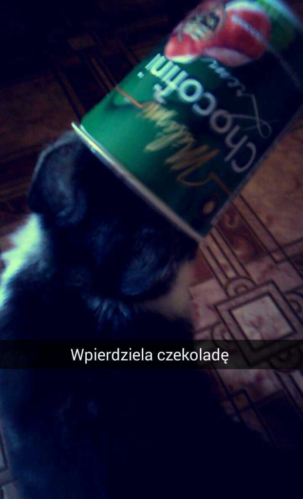 Wracaj 