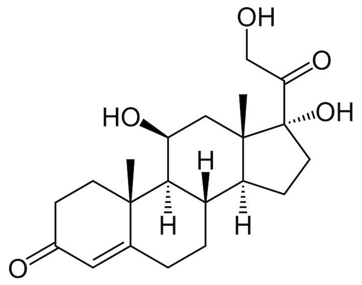 Kortyzol