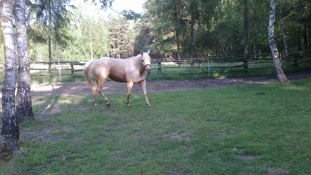 sparkowa :*