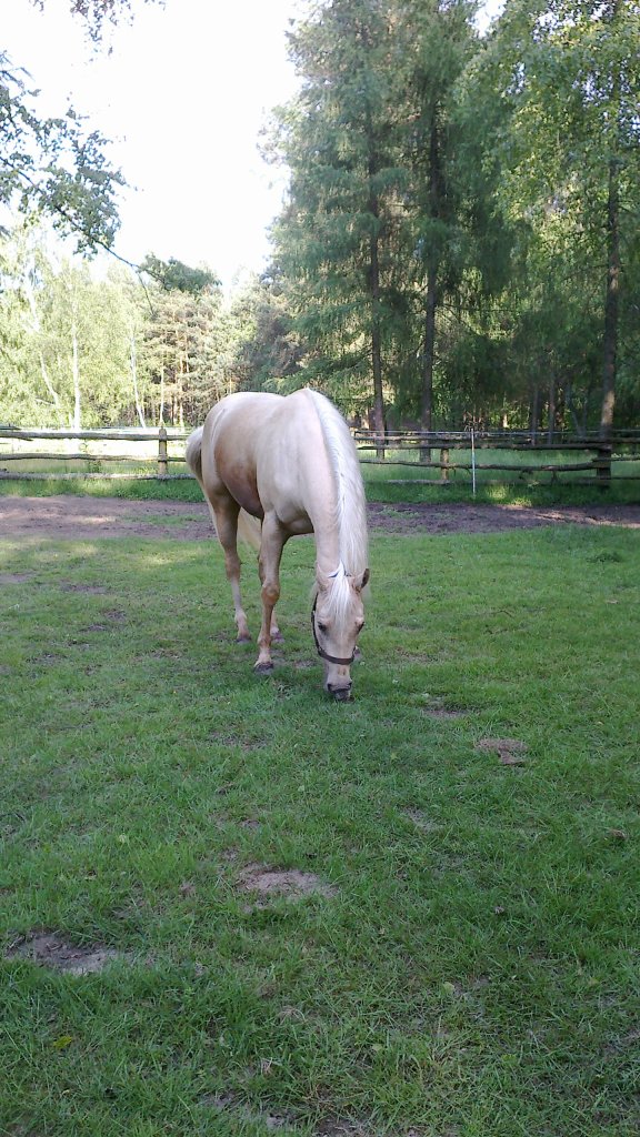 Sparky :*