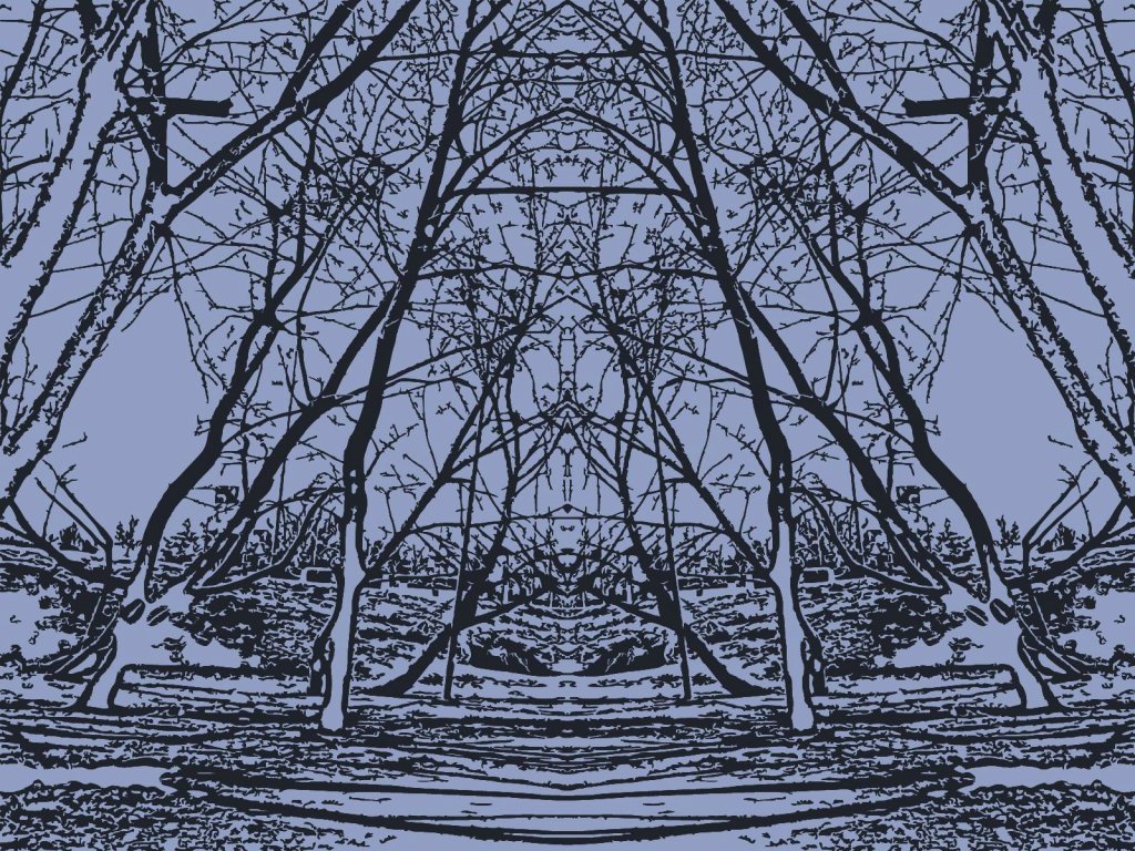  d y m 