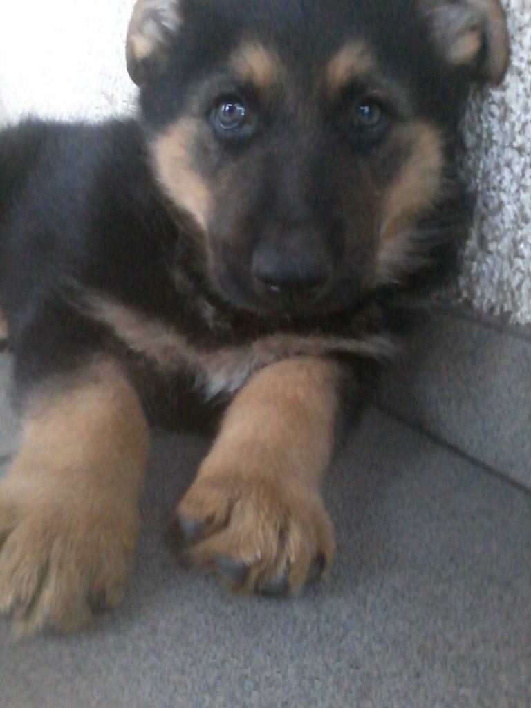 witam serdecznie