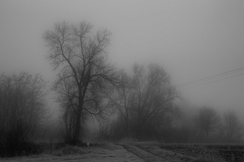 Szaro 