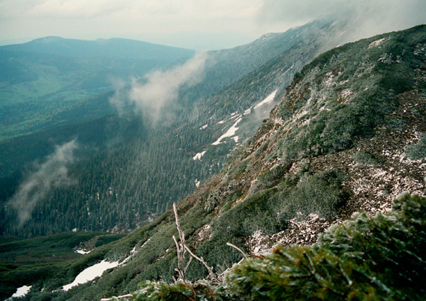 Babia