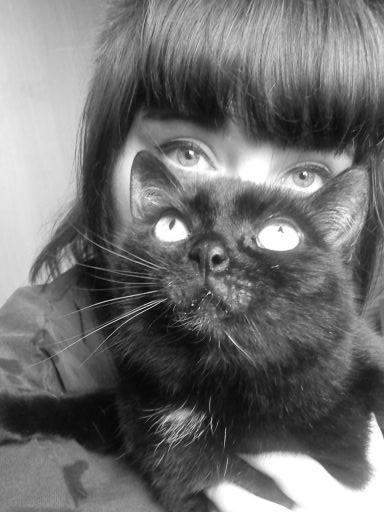 Kote 