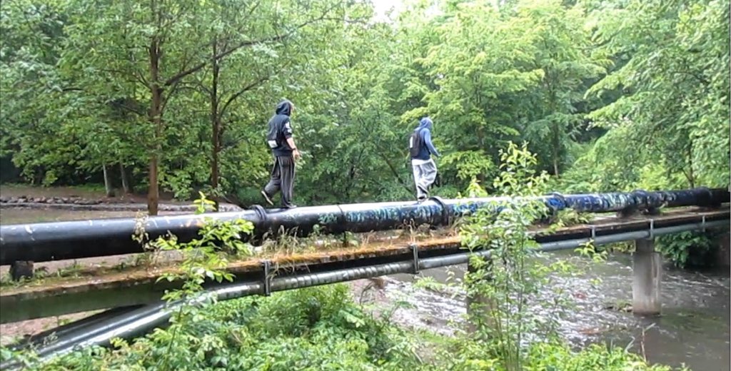 dwa lesniaki