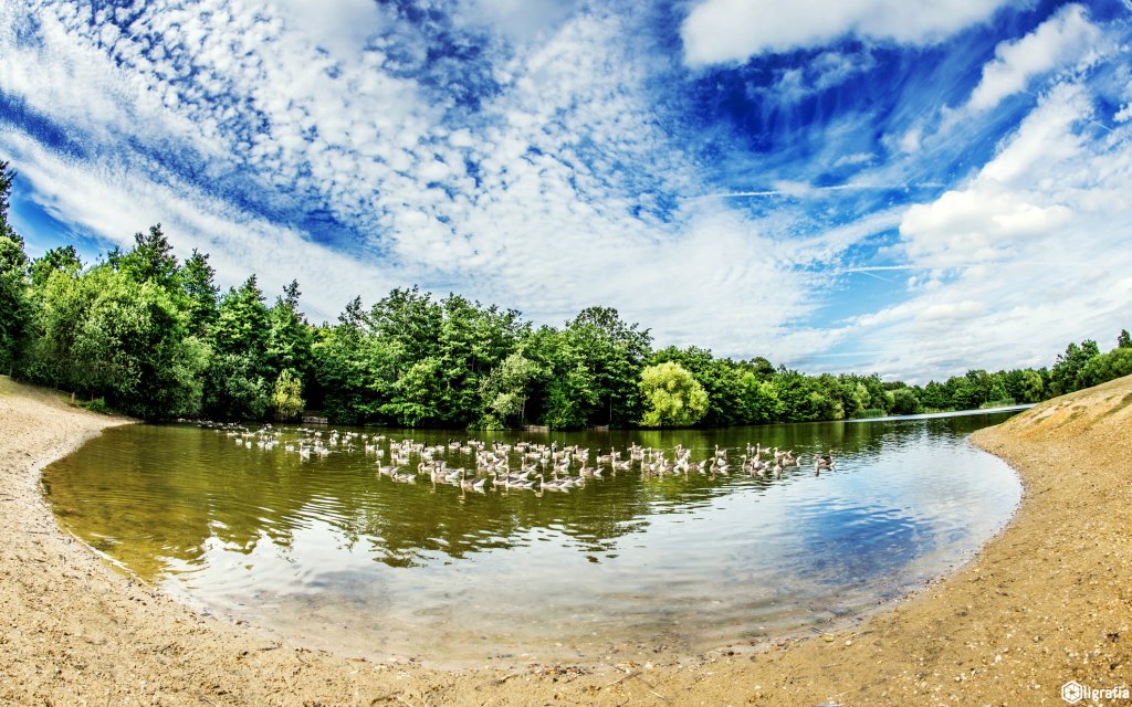 Belhus Park
