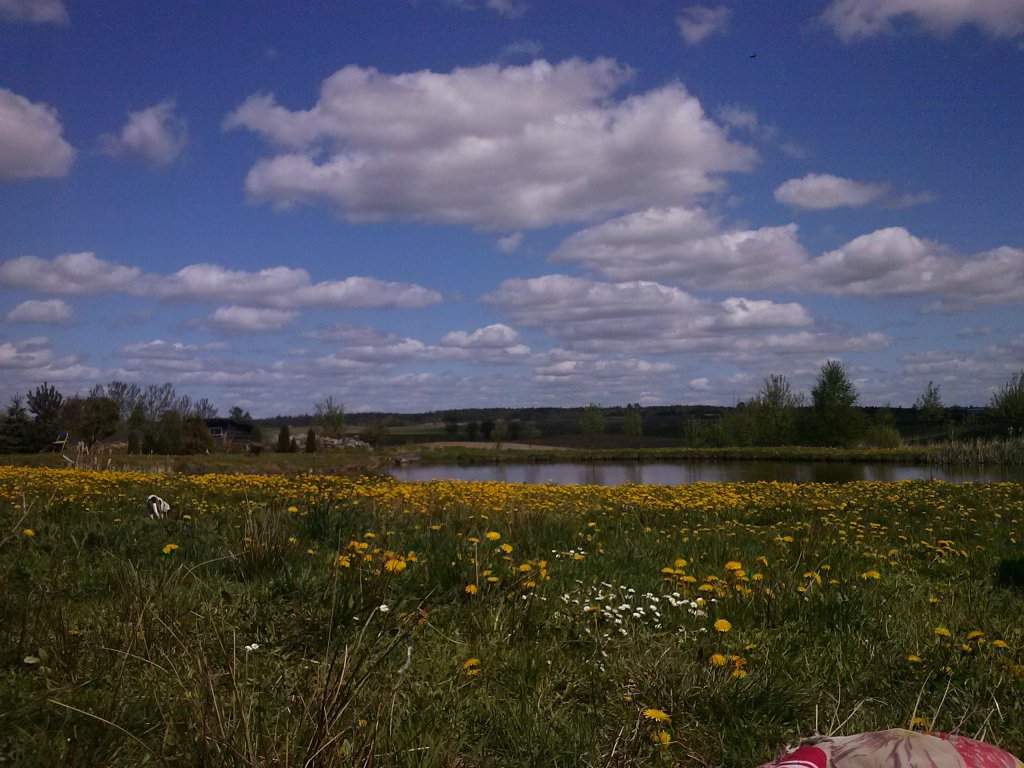 Wiosenne widoki