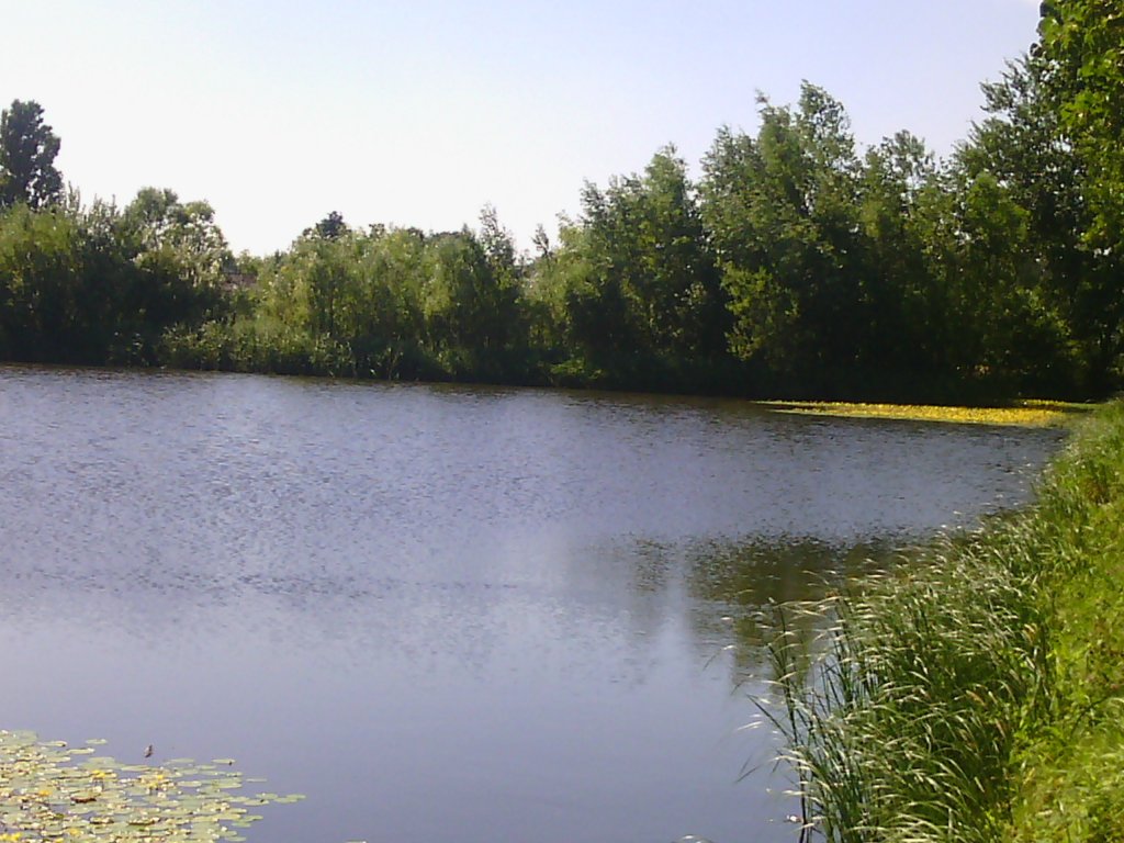 Wnioski.