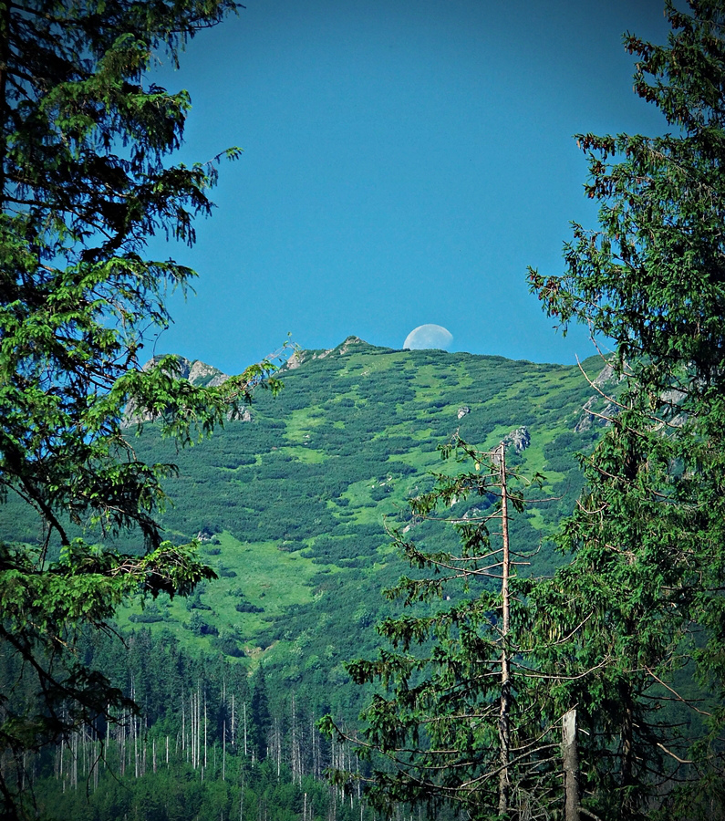Mountain Moon