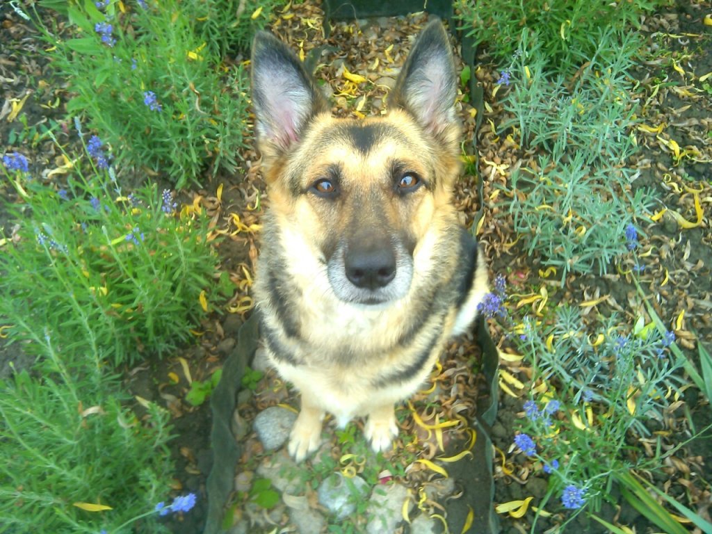 Luna