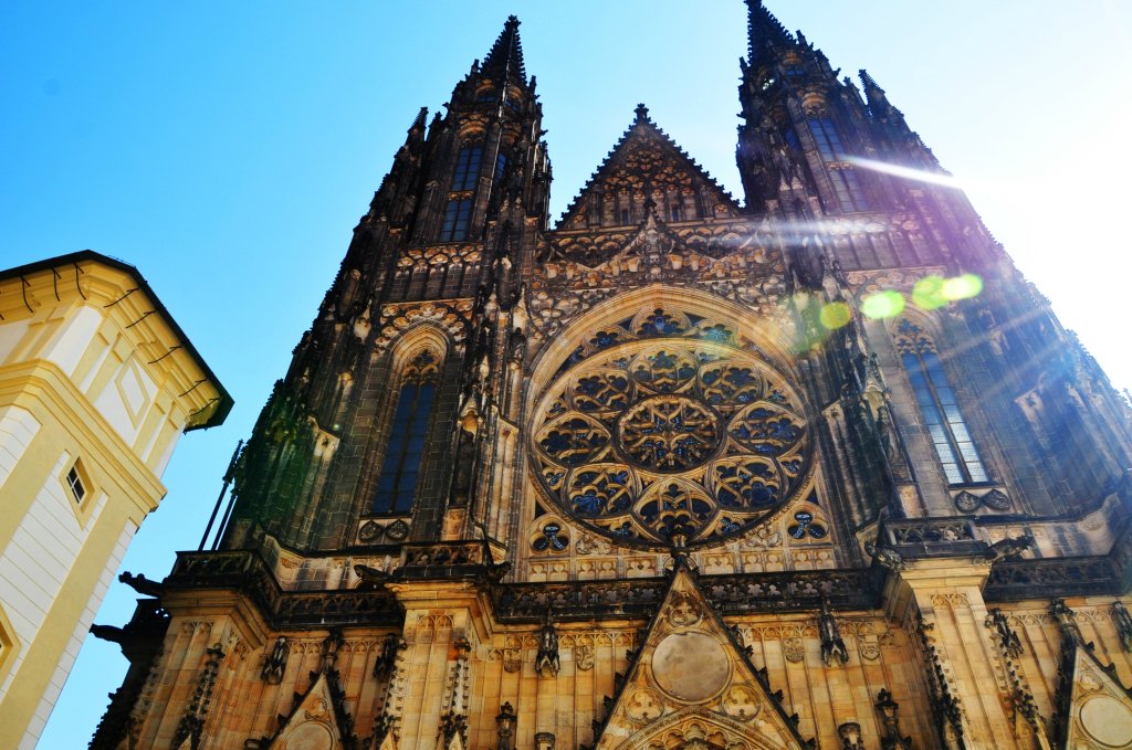 Koci Praga