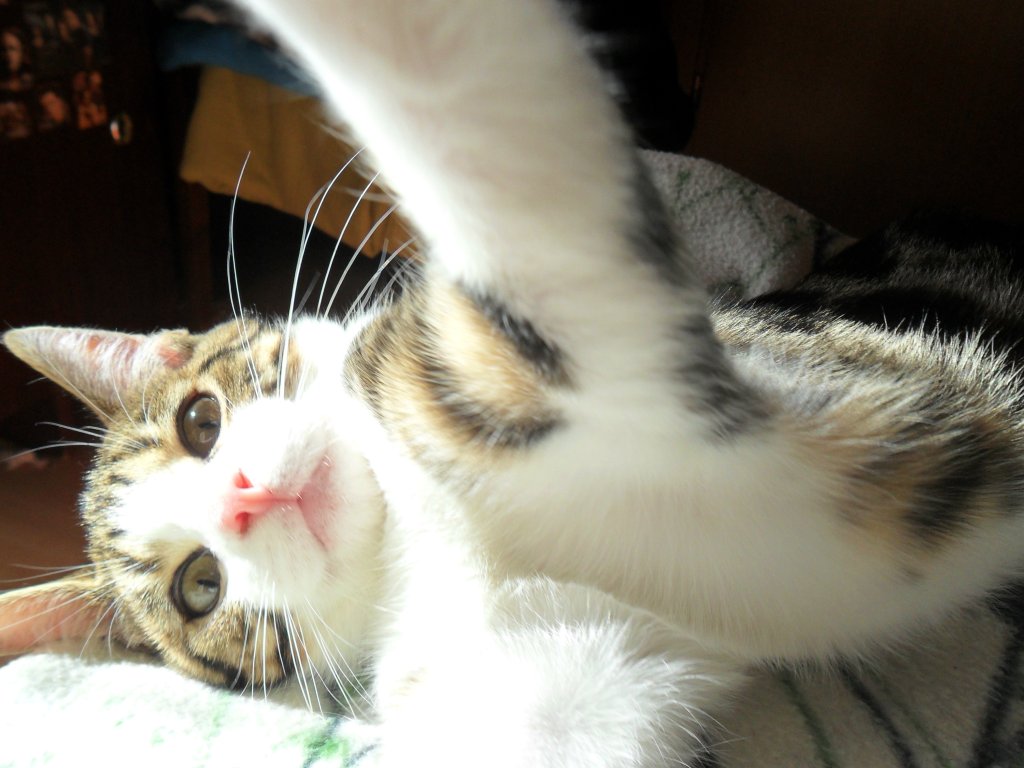 Tytus:)