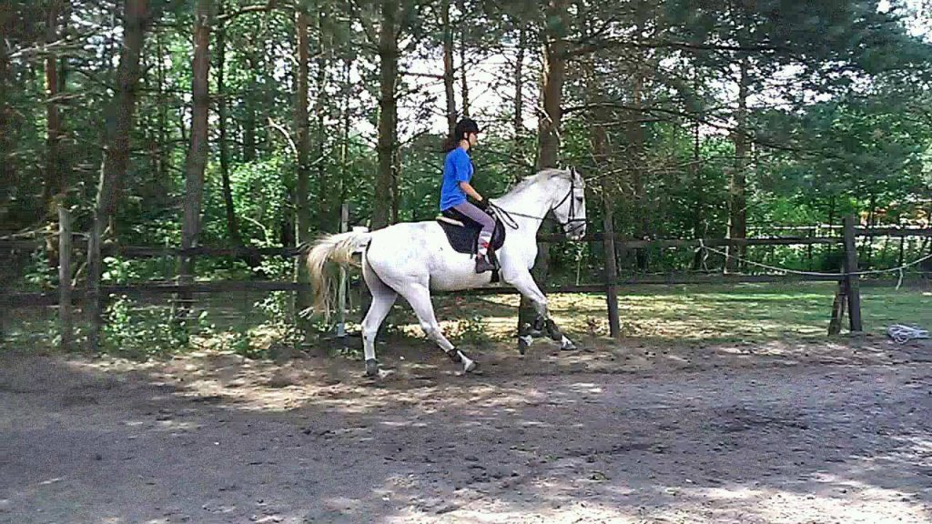 Siwy w pracy
