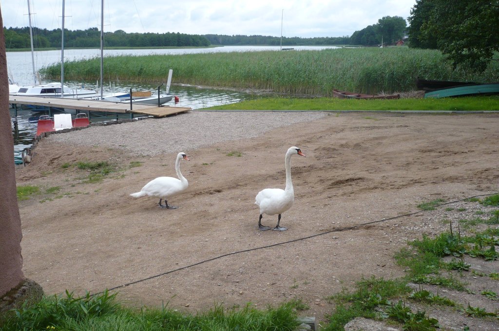 JEZIORO WIGR