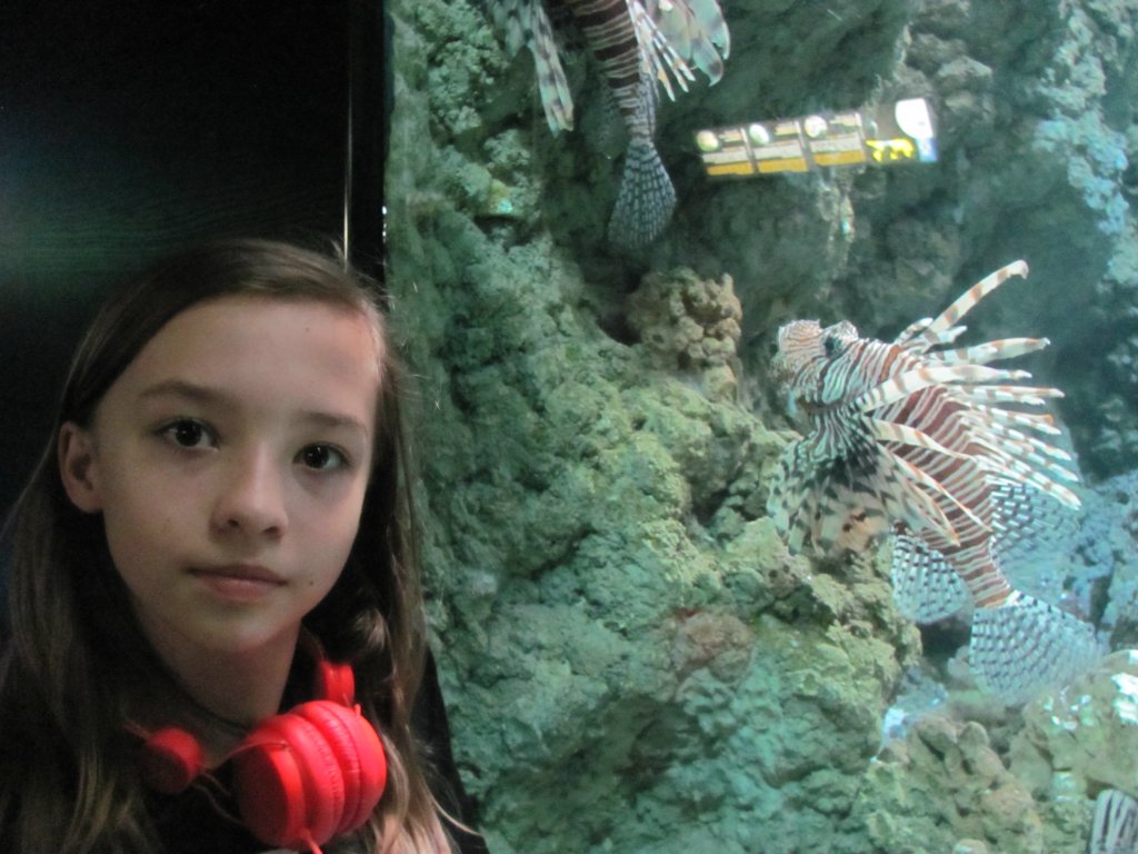 Oceanarium Gdynia