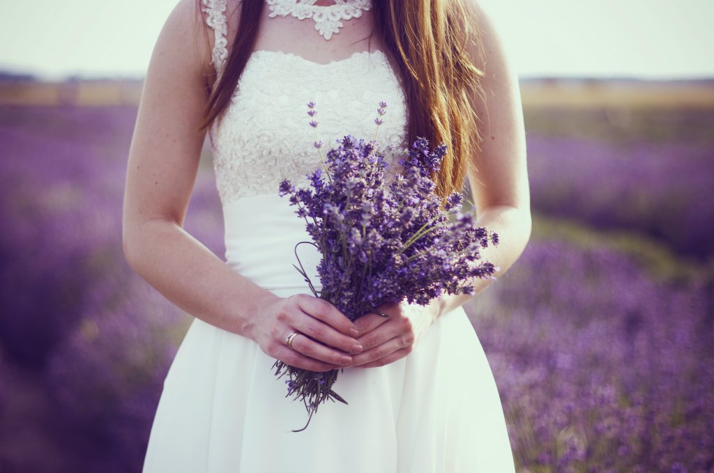 Lavender 