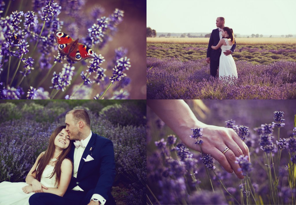 violet