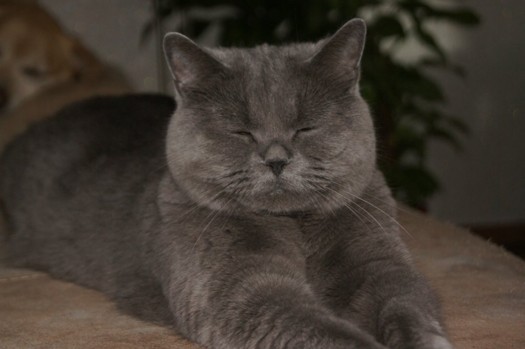 Najlepsza 