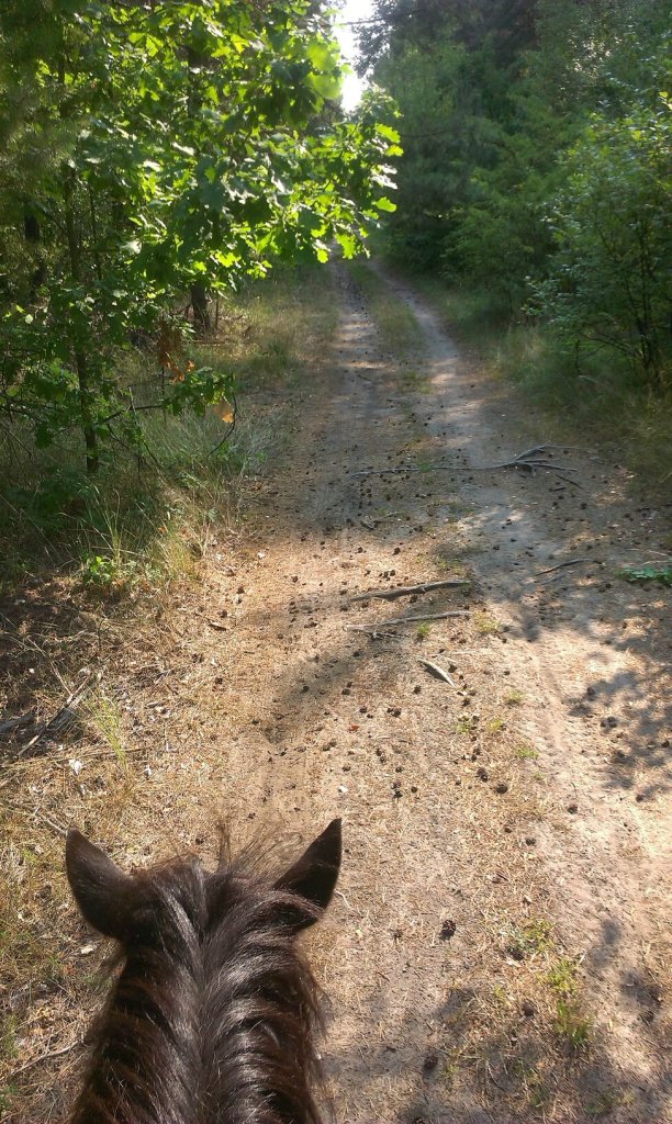 Odpoczynek razem z aciaczkiem