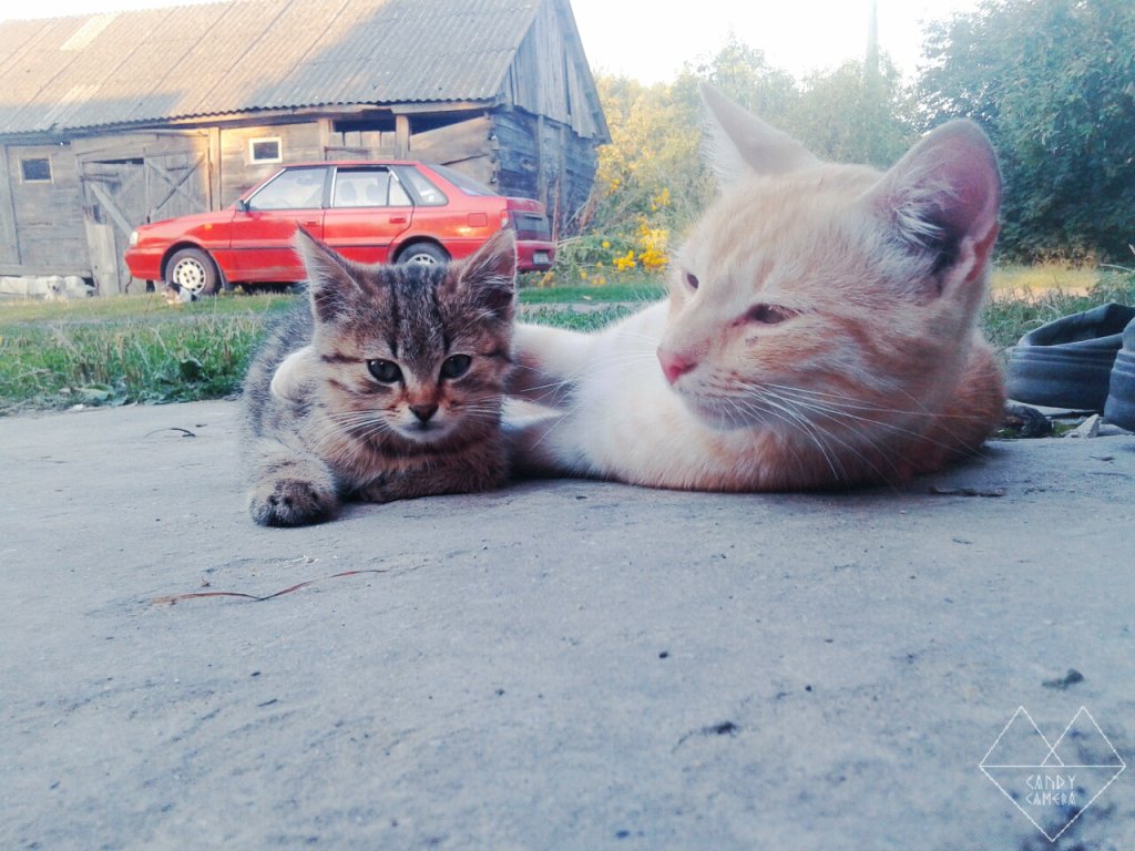 Z serii "Przytul Mnie!"
