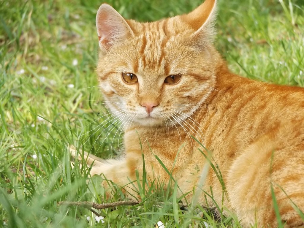 1.