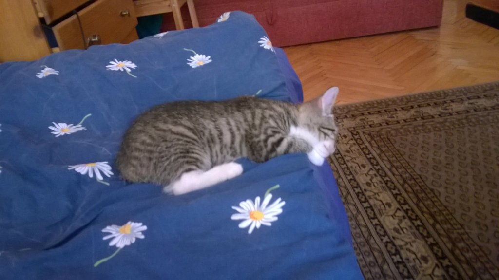 Zoza.