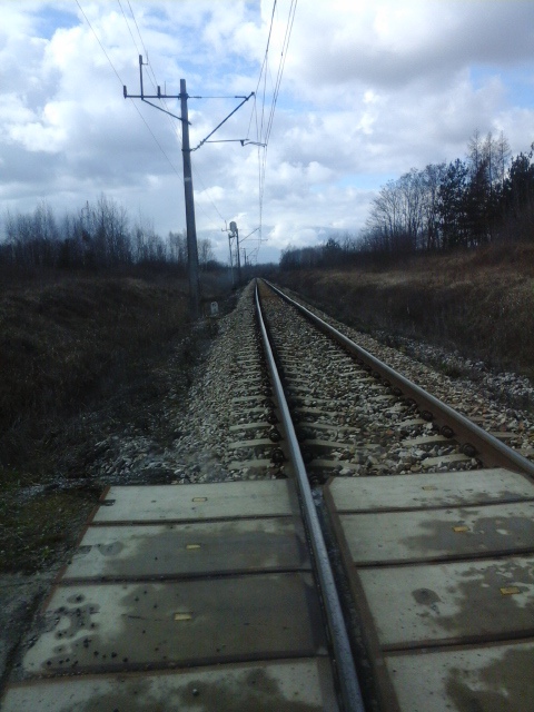 Love.tracks
