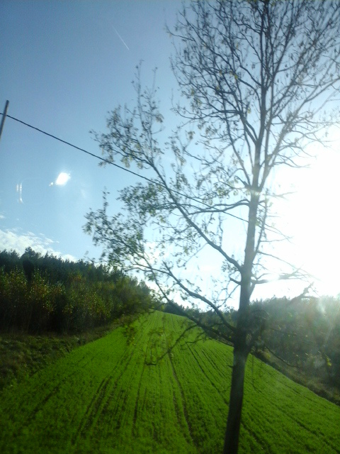 Widoki 