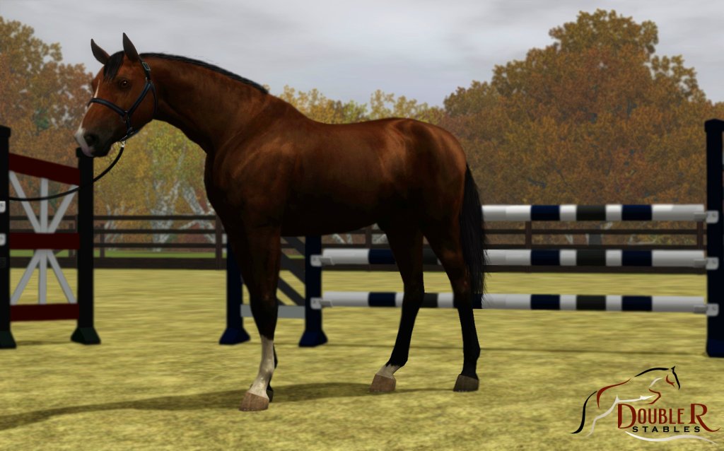 Calvados DS