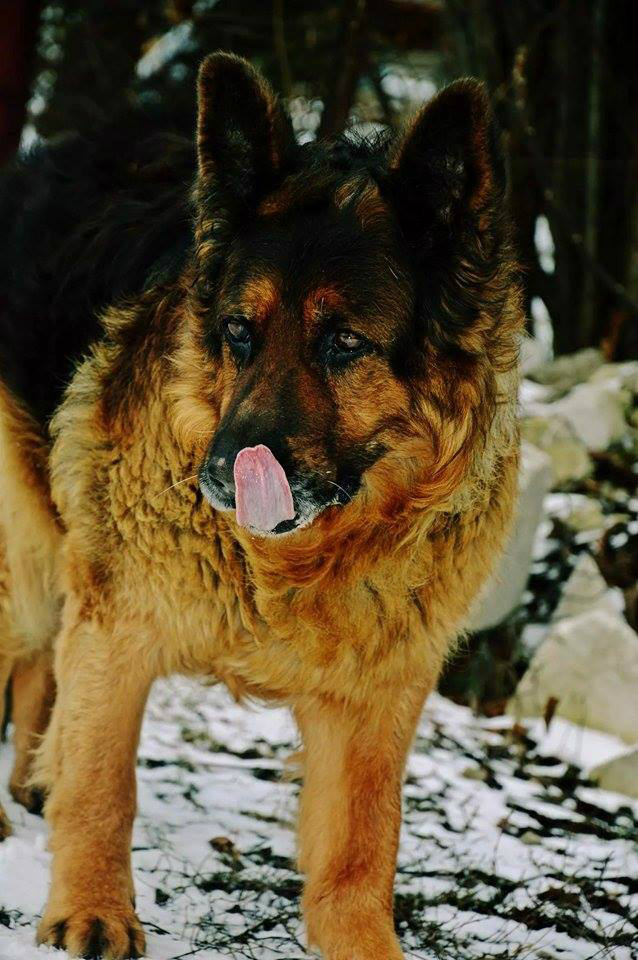 Moje najwiksze szczcie ! ;3