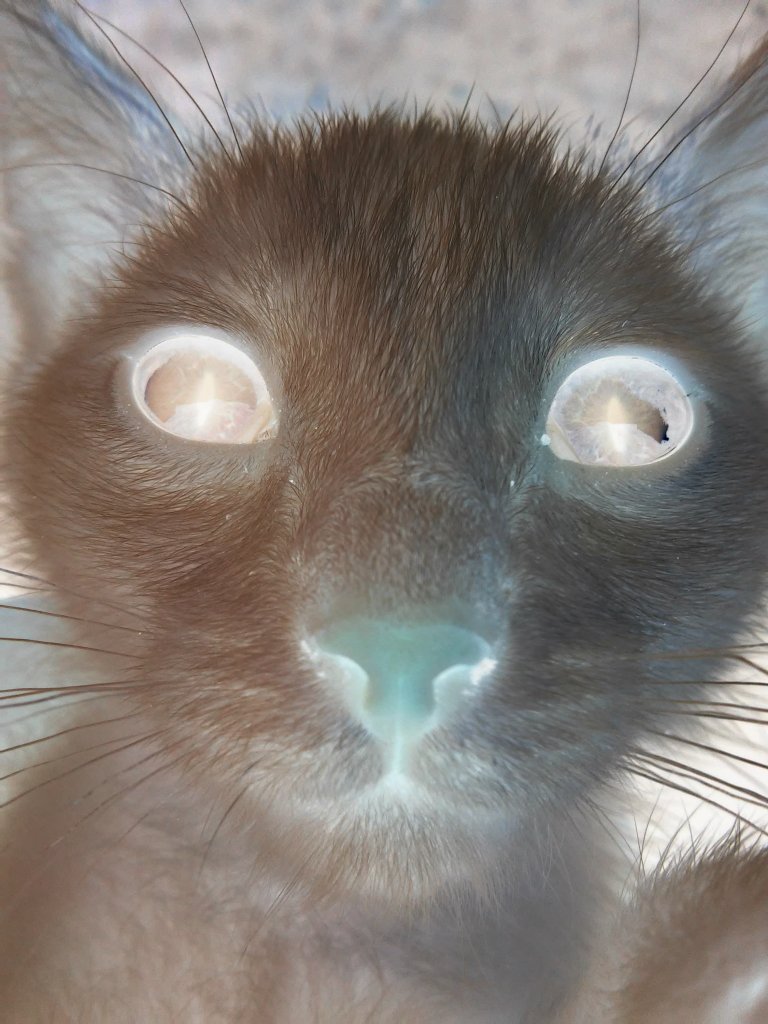 Demons#cat#