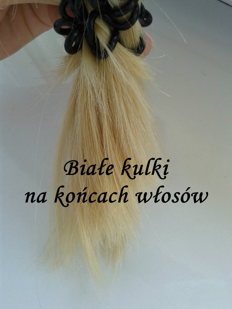 Biae kulki na kocach wosw