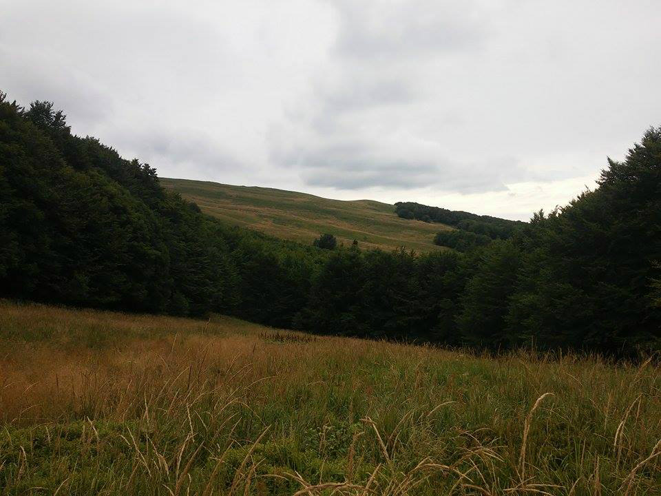 Bieszczady.