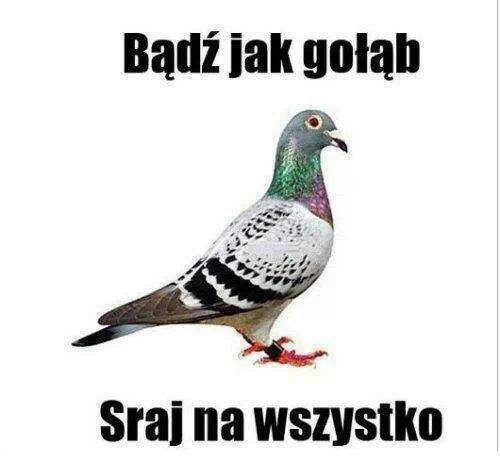 miesiacidwadni.