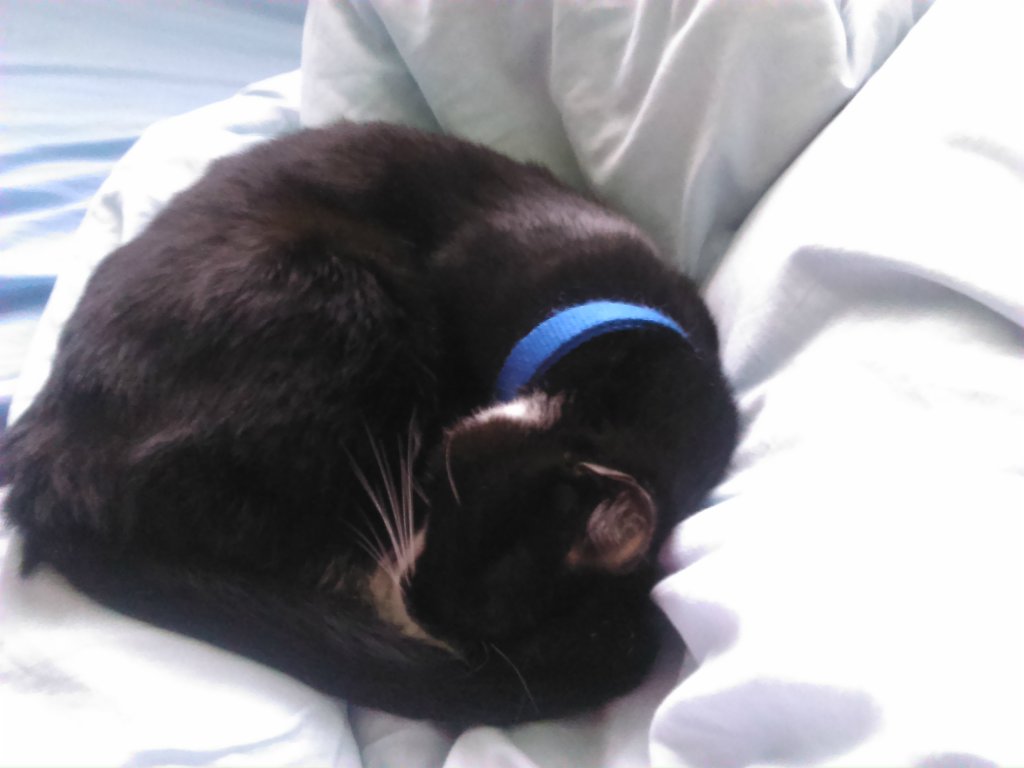 Comfy as never before