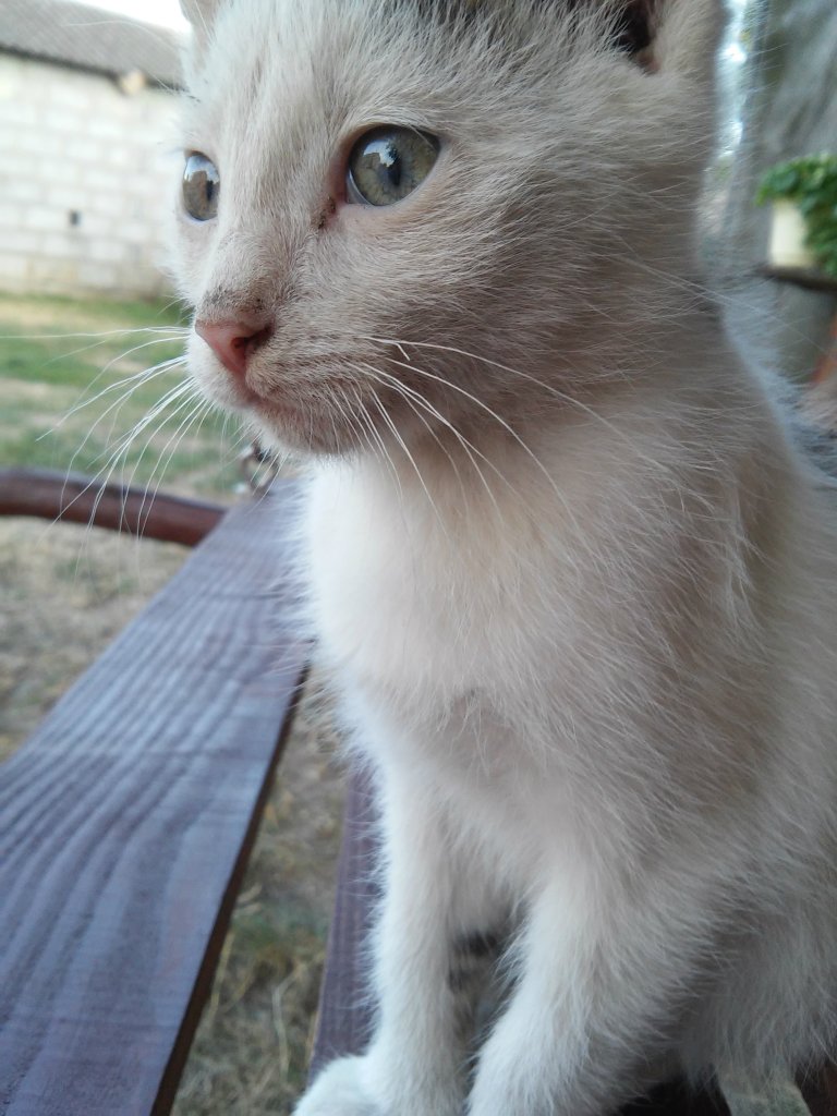 mrrrrrrrrrrrrr :3
