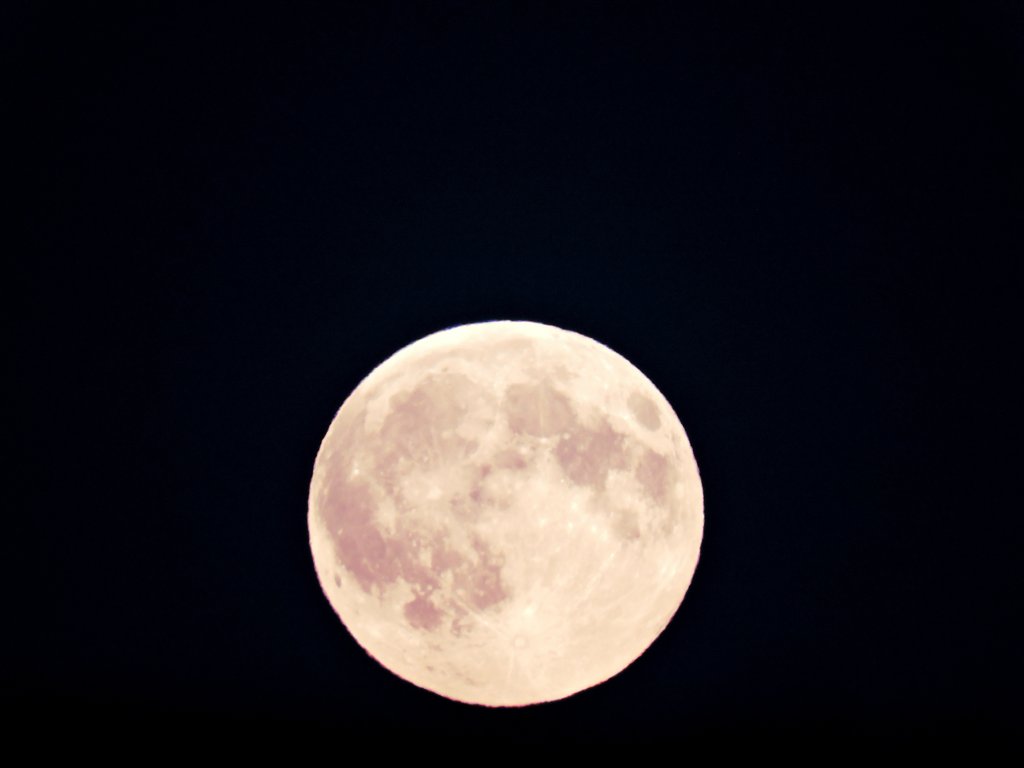 I LOVE U TO THE MOON & BACK