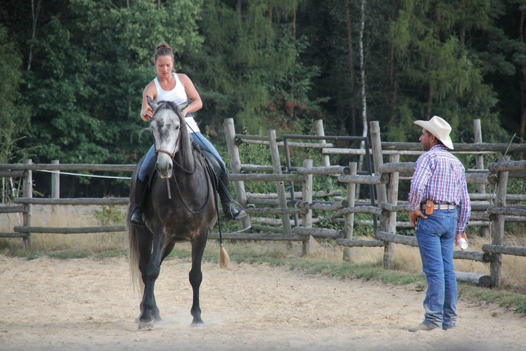 kurs