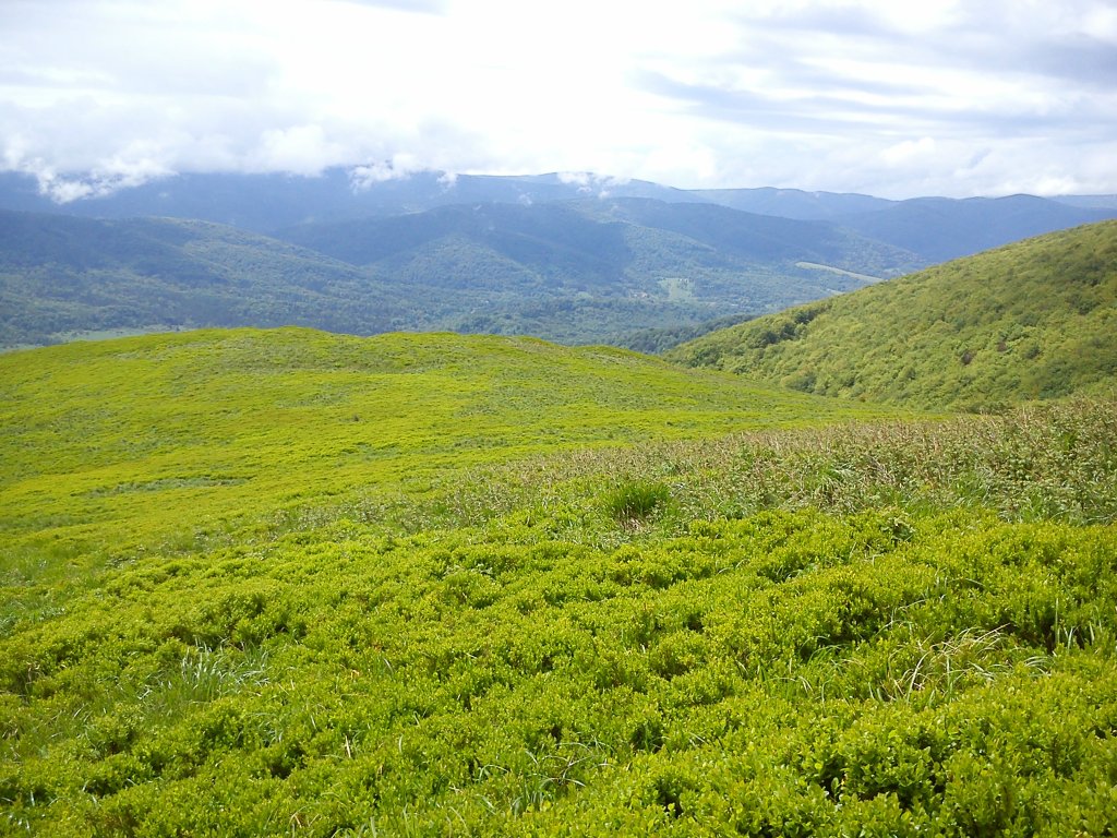 Bieszczady